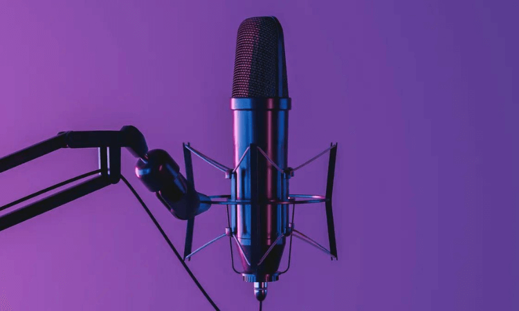 Best Microphone Under 1000 in India 2023